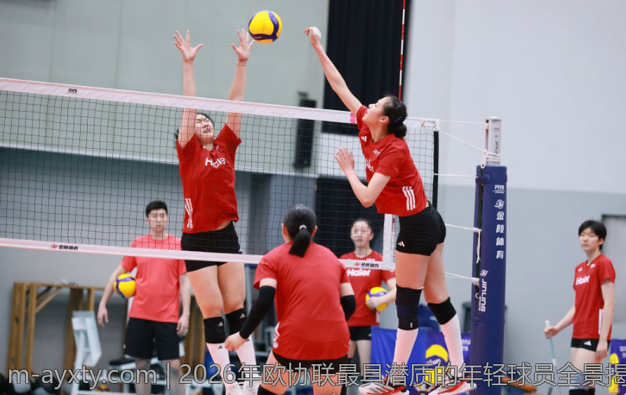 2026年欧协联最具潜质的年轻球员全景揭秘