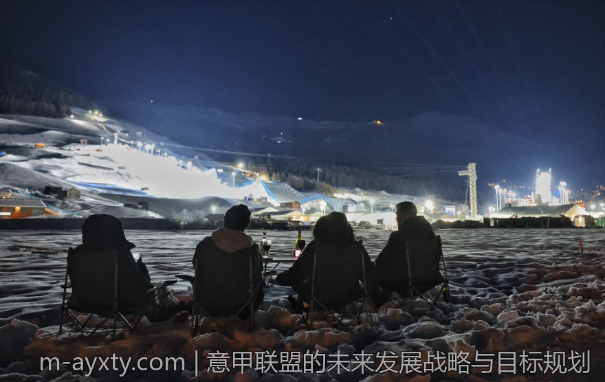 意甲联盟的未来发展战略与目标规划