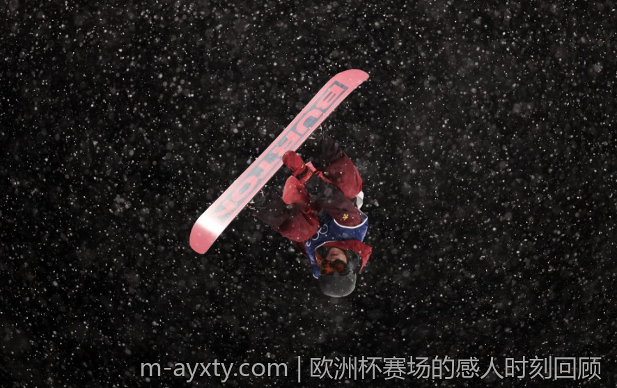 欧洲杯赛场的感人时刻回顾