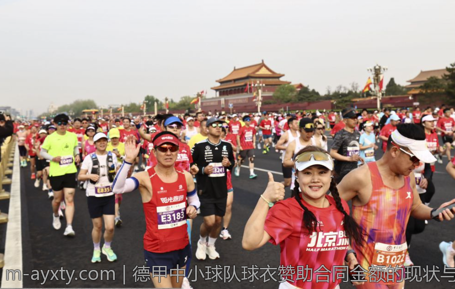 德甲中小球队球衣赞助合同金额的现状与未来