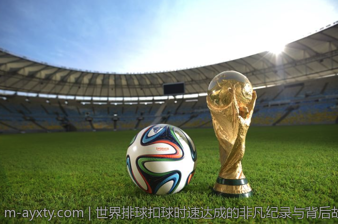 美国女排主教练最新战术解析与实战应用